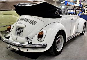 H-6065-BBG
