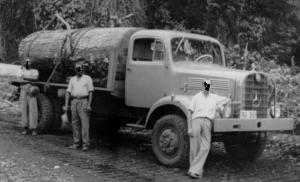 TEG-3503