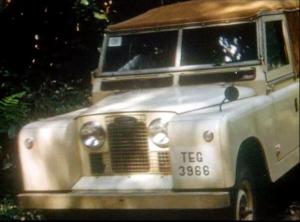 TEG-3966