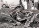TF-22712
