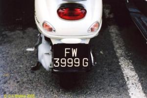 FW3999G