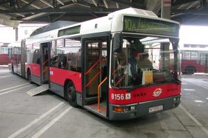 W 8156 LO