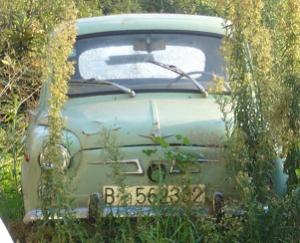 B-562332