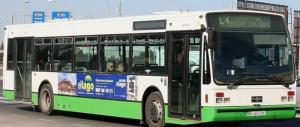 AB-4650-N