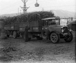 GR-3029