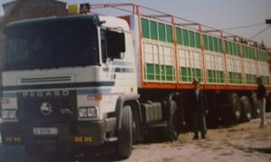 J-6176-J