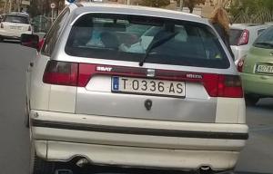 T-0336-AS