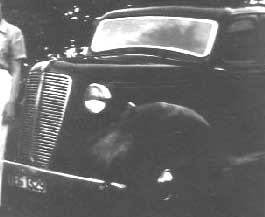 TEG-1329