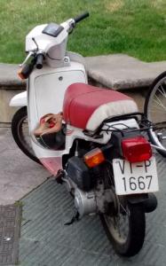 VI-1667-P