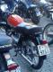 V-9253-BG