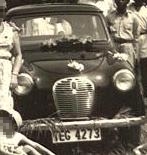 TEG-4273