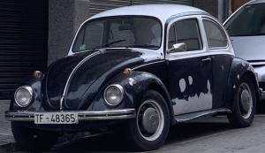 TF-48365