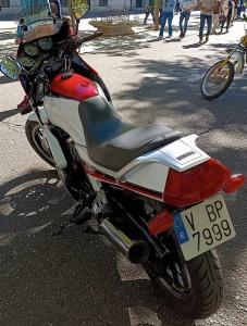 V-7999-BP
