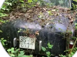 SS-6777-G