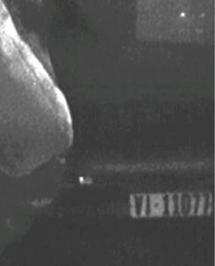 VI-11077