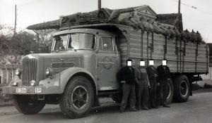 SE-20004
